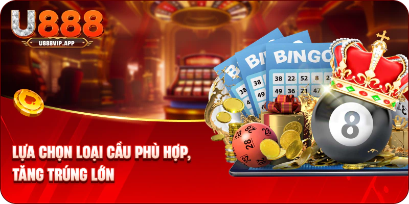 Lựa chọn loại cầu phù hợp, tăng trúng lớn